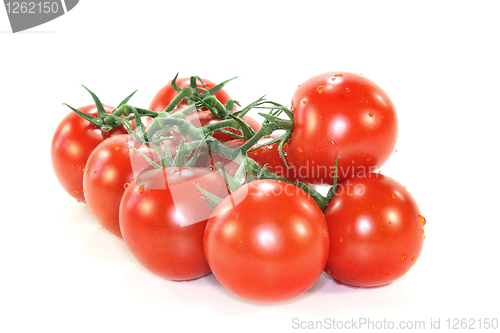 Image of Tomatoes