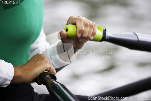 Image of Women's Single Sculls