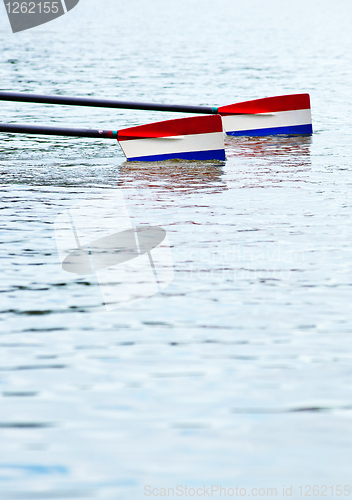 Image of Rowing oars