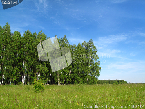 Image of beautiful summer landscape