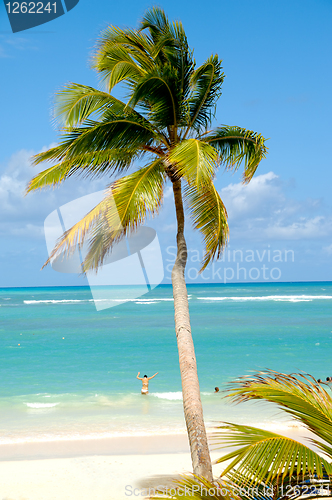 Image of Caribbean beach