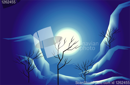 Image of Night landscape