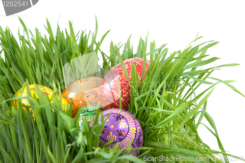 Image of color easter eggs in nest from green grass on white