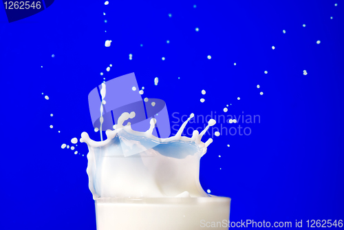 Image of Milk splash isolated on blue