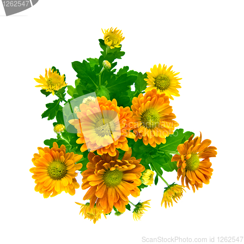 Image of yellow chrysanthemum bouquet isolated on white