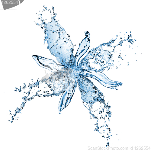 Image of flower from water splashes isolated on white