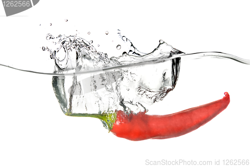 Image of red pepper dropped into water with splash isolated on white