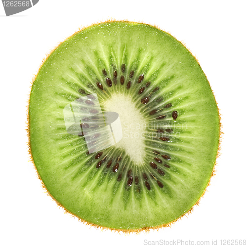 Image of macro photo of kiwi