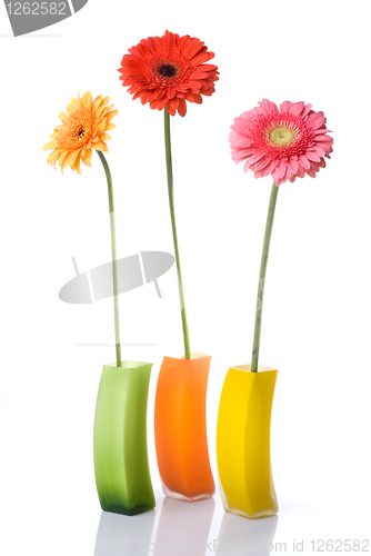 Image of Bouquet from daisy-gerbera in glass vase isolated on white