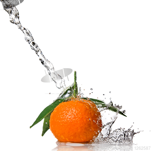 Image of Tangerine with water splash isolated on white