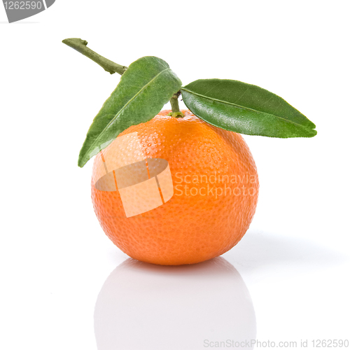 Image of Tangerine with green leaves isolated on white