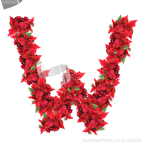 Image of letter from red christmas flowers isolated on white