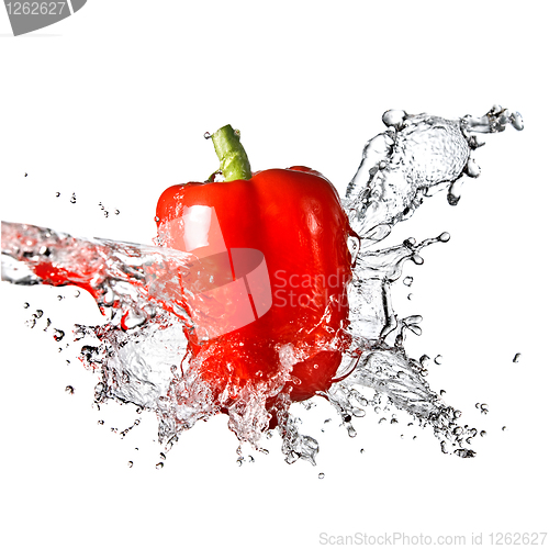 Image of fresh water splash on red sweet pepper isolated on white