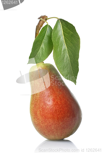 Image of red pear with leaves isolated on white