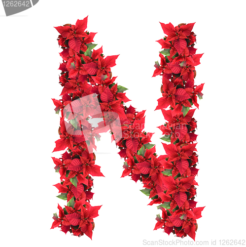 Image of letter from red christmas flowers isolated on white