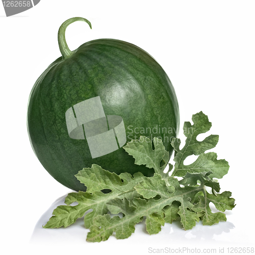 Image of watermelon with leaves isolated on white