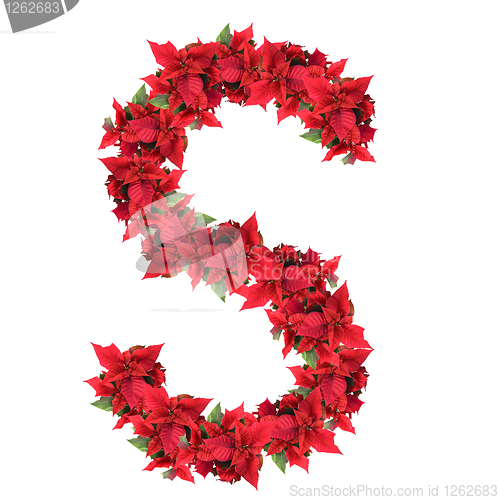 Image of letter from red christmas flowers isolated on white