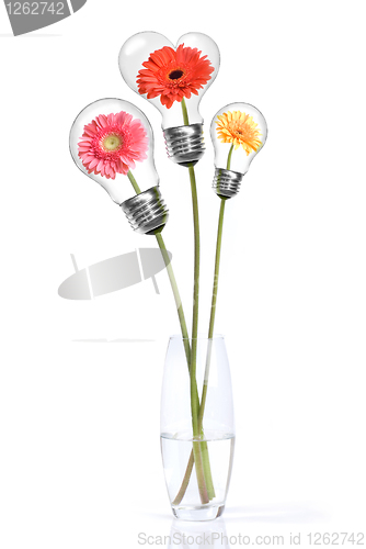 Image of Bouquet from daisy-gerbera with heads inside lamps isolated on w