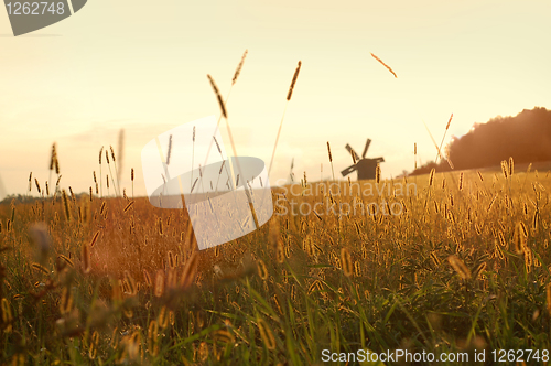 Image of field on sunset