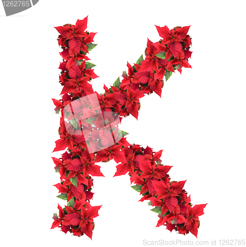 Image of letter from red christmas flowers isolated on white