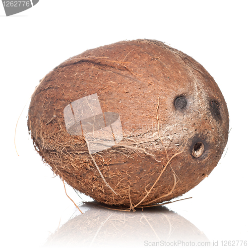 Image of coconut isolated on white