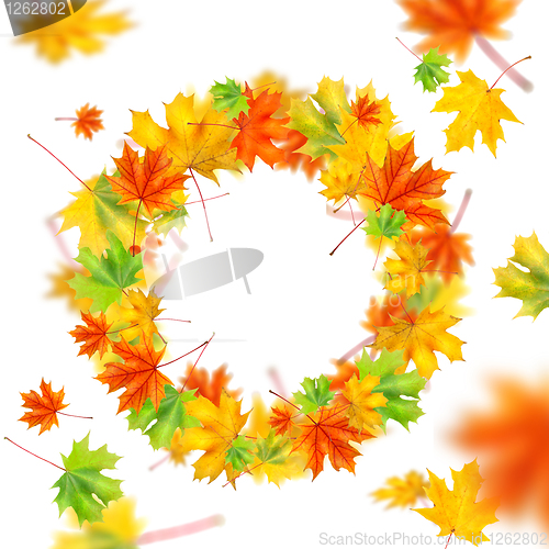Image of wreath from autumn leaves isolated on white