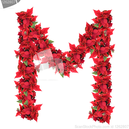 Image of letter from red christmas flowers isolated on white