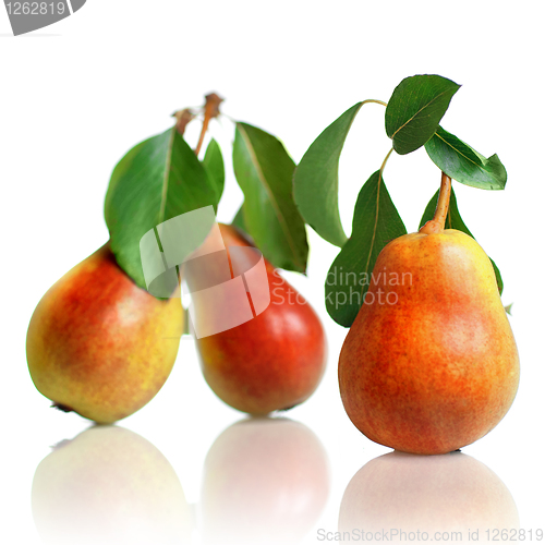 Image of red pears with leaves isolated on white
