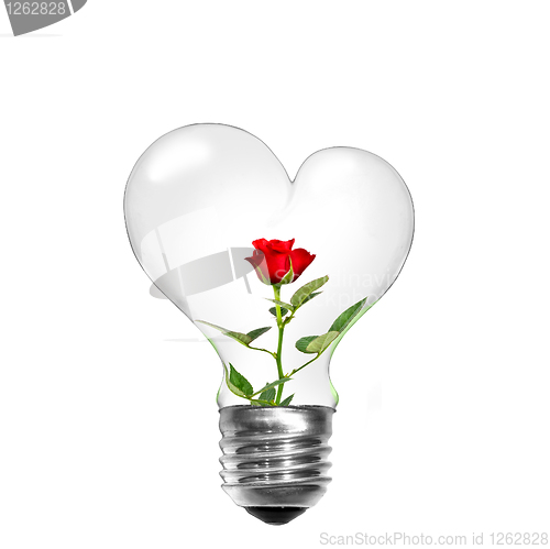 Image of Natural energy concept. Light bulb in shape of heart with red ro