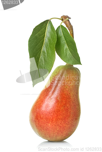 Image of red pear with leaves isolated on white