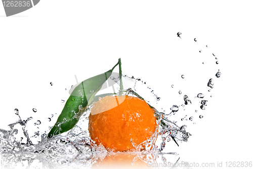 Image of Tangerine with green leaves and water splash isolated on white