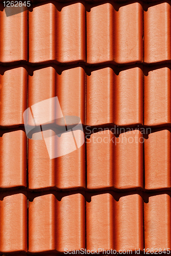 Image of Close-up orange tile on roof in carpathians castle