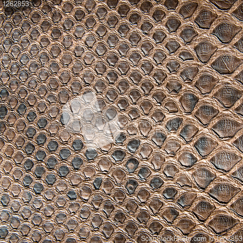 Image of brown crocodile texture