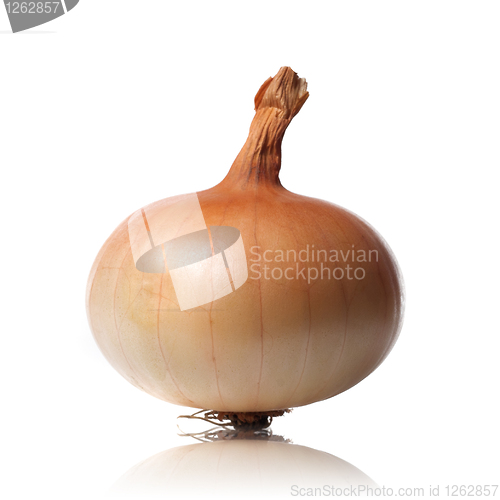 Image of onion isolated on white