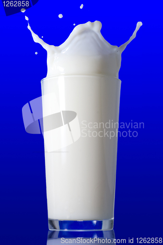 Image of Milk splash isolated on blue