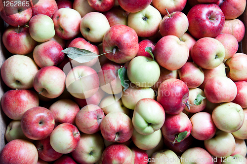 Image of backgound from apples
