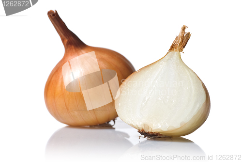Image of onion isolated on white