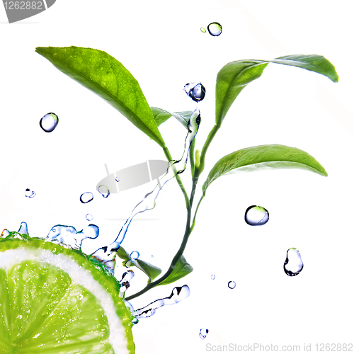 Image of water drops on lime with green leaves isolated on white
