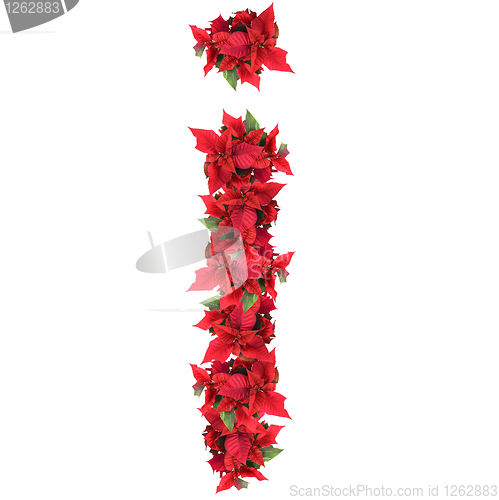 Image of letter from red christmas flowers isolated on white