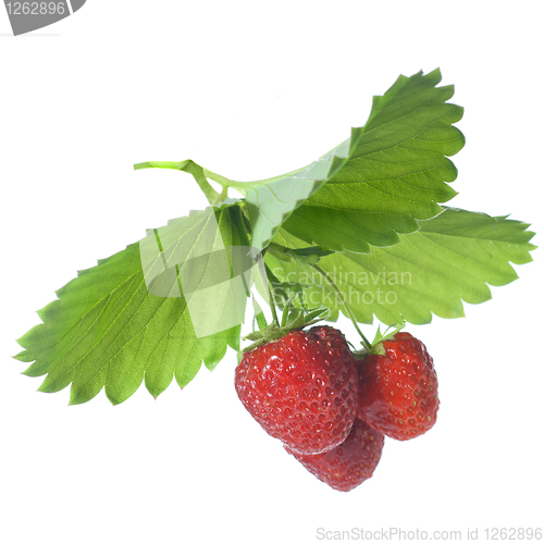 Image of Strawberry with leaves isolated on white