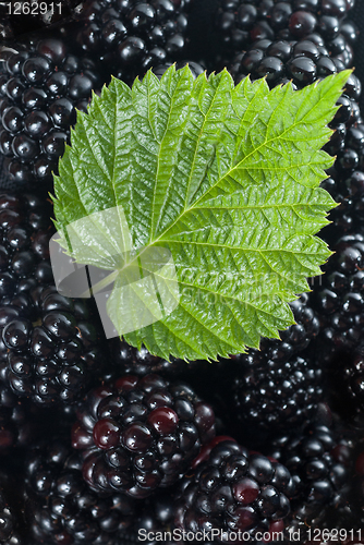 Image of blackberry with green leaf