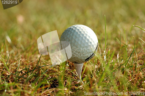 Image of golf ball in grass