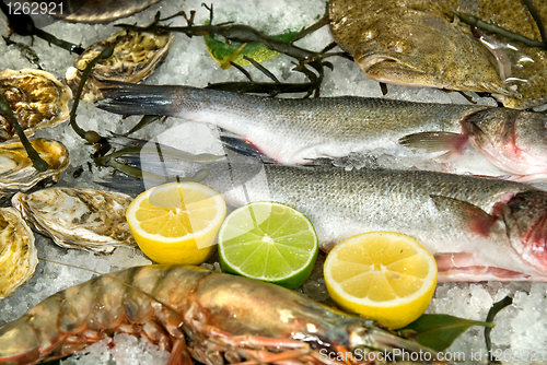 Image of fresh frozen fish with oysters, lobster and lemons in ice