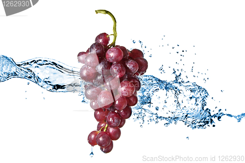 Image of blue grape with water splash isolated on white