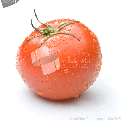 Image of red tomato with water drops isolated on white