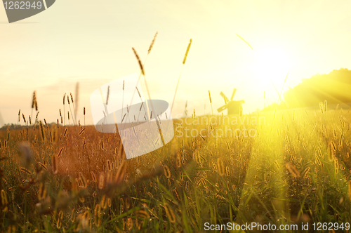 Image of field on sunset