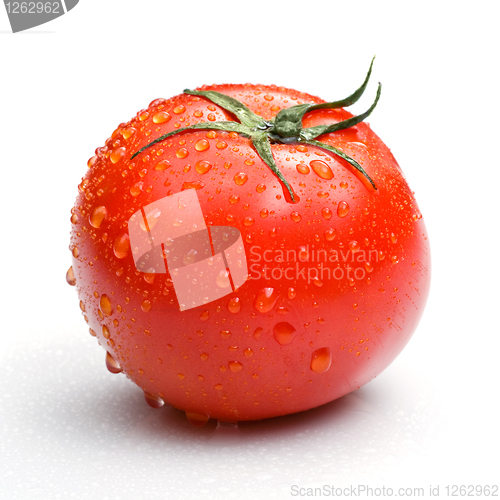 Image of red tomato with water drops isolated on white