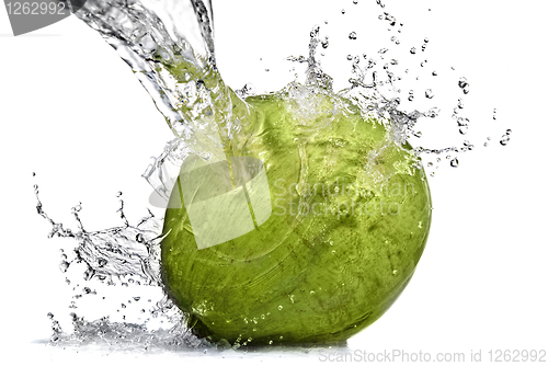 Image of fresh water splash on coconut isolated on white