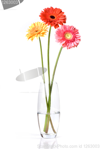 Image of Bouquet from daisy-gerbera in glass vase isolated on white