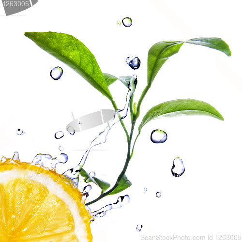 Image of water drops on lemon with green leaves isolated on white